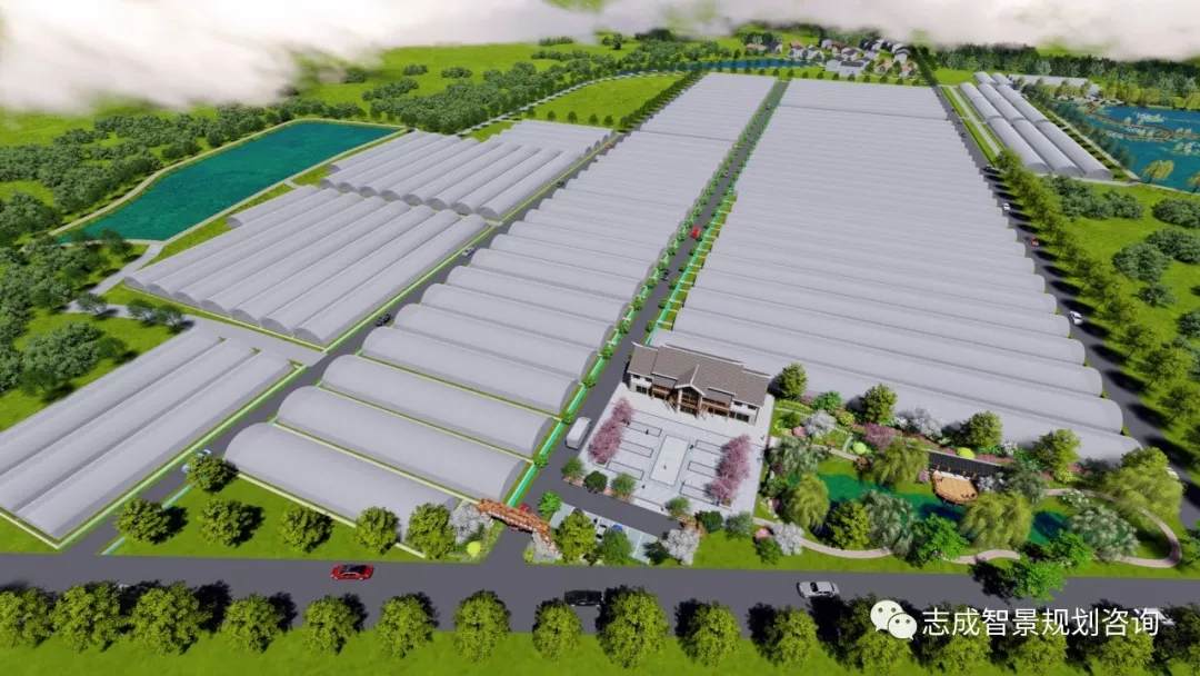 1637311163605124.jpg 640.webp (5).jpg